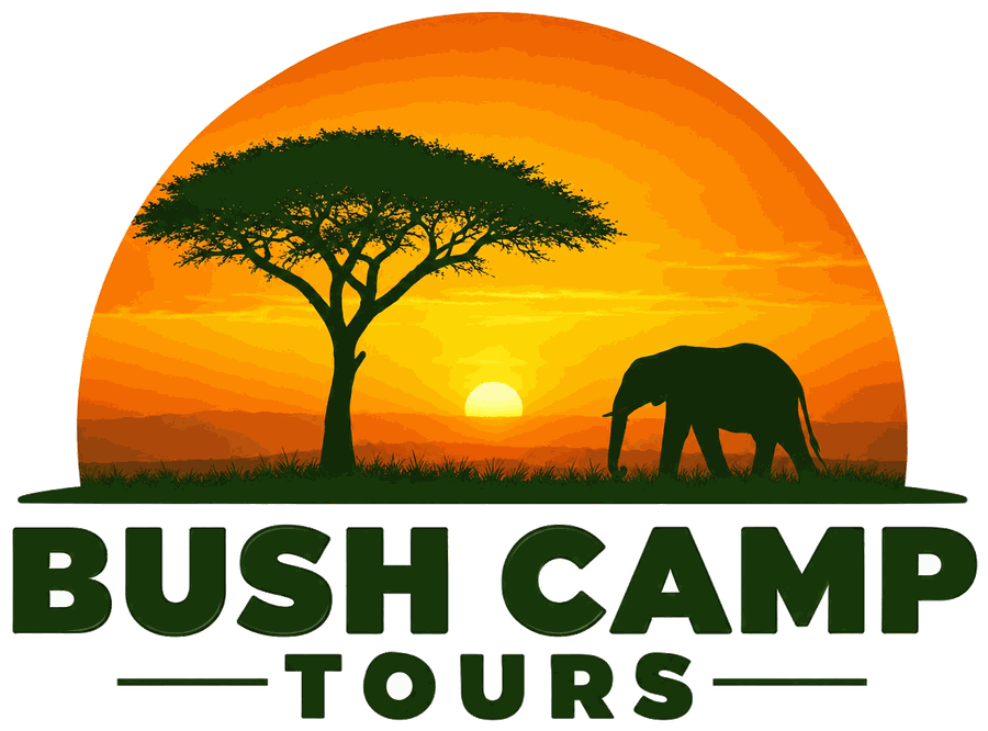 Bush Camp Tours logo